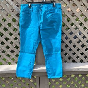 EUC Loft Denim Cropped Pants